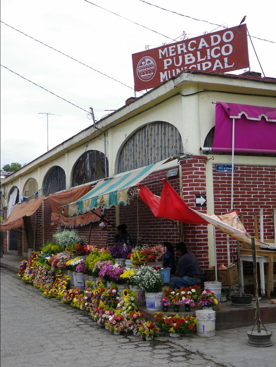 Near Tuxtla Gutierrez34
